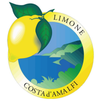 LIMONE DI SORRENTO IGP